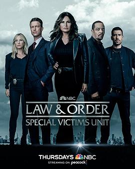 法律与秩序：特殊受害者第二十四季第10集